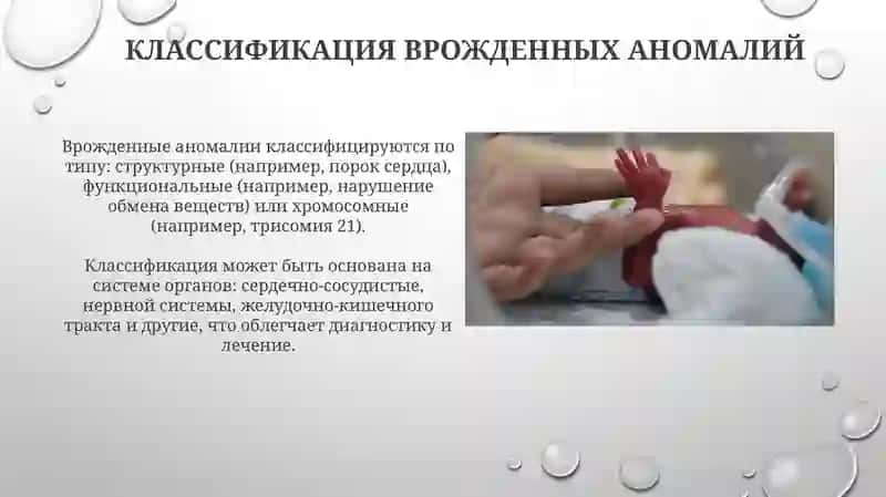 Лечебное дело 2 4