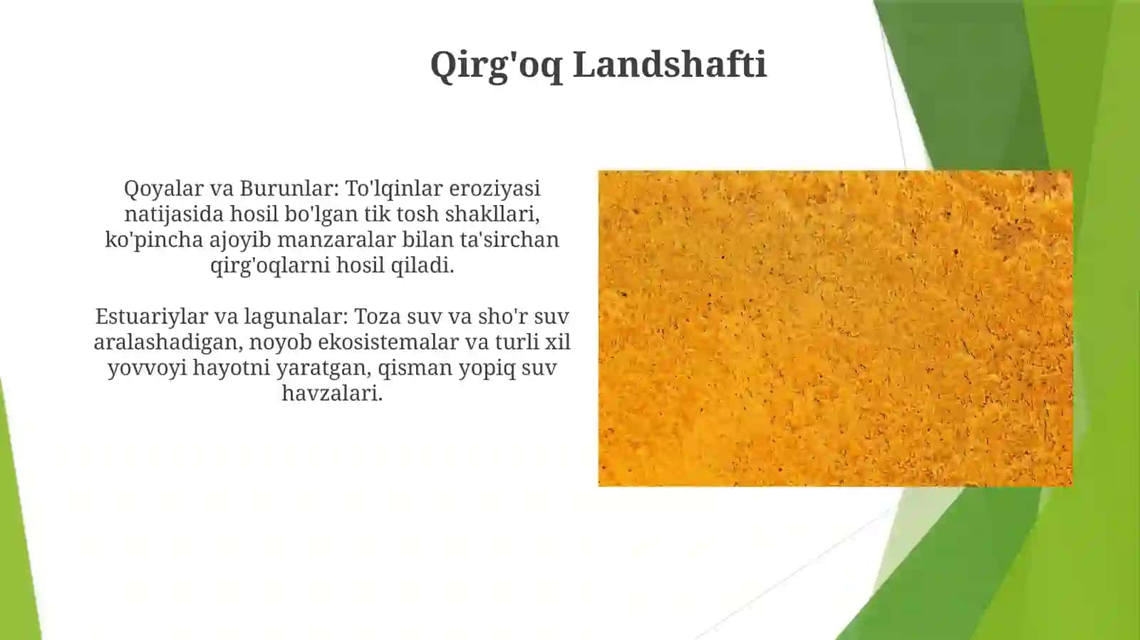 Yevrosiyomaterigiqirgʻoqtuzilishiningoʻzigaxosligi 4