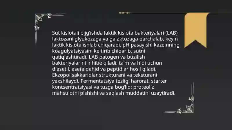 Mikroorganizmlar Yordamida Sut Kislotali bijgʻish 4