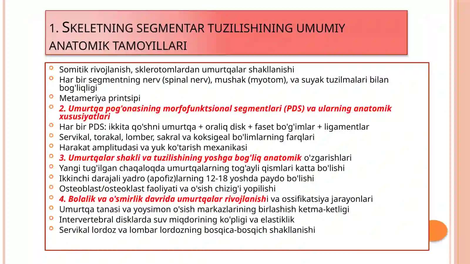Umurtqa anatomiyasi 4