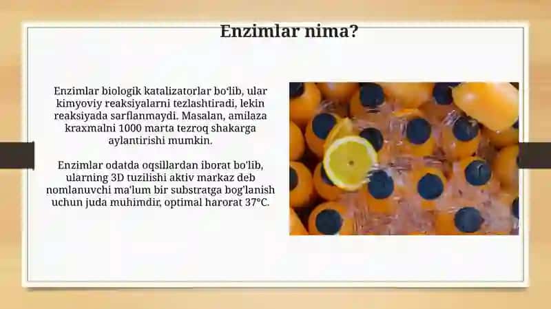 Fermentlar 4