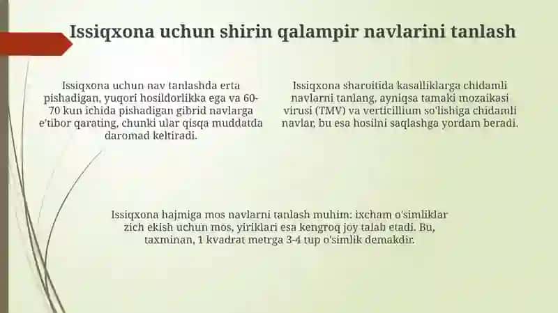 Himoyalangan inshootlarda chuchuk qalampir yetishtirish texnologiyasi 4