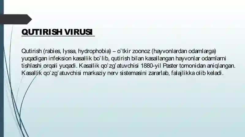 Neyrotropviruslar: rabdoviruslar xarakteristikasi va laborator tashxis 4