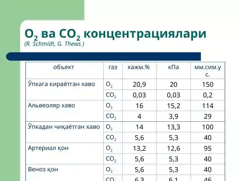 Ташқи нафас тизими патофизиологияси 4