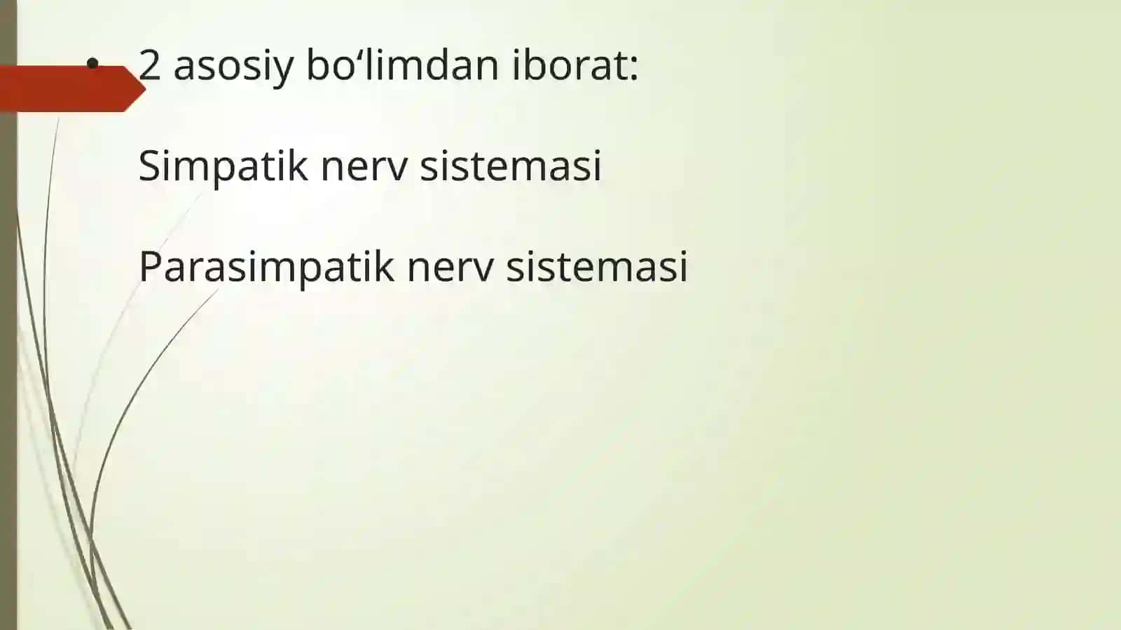 Vegetativ nerv sistemasini anatomiyasi 4