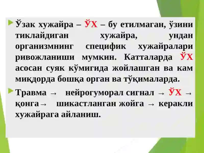 ХУЖАЙРА ШИКАСТЛАНИШИ ВА ФИЗИОЛОГИЯСИ 4