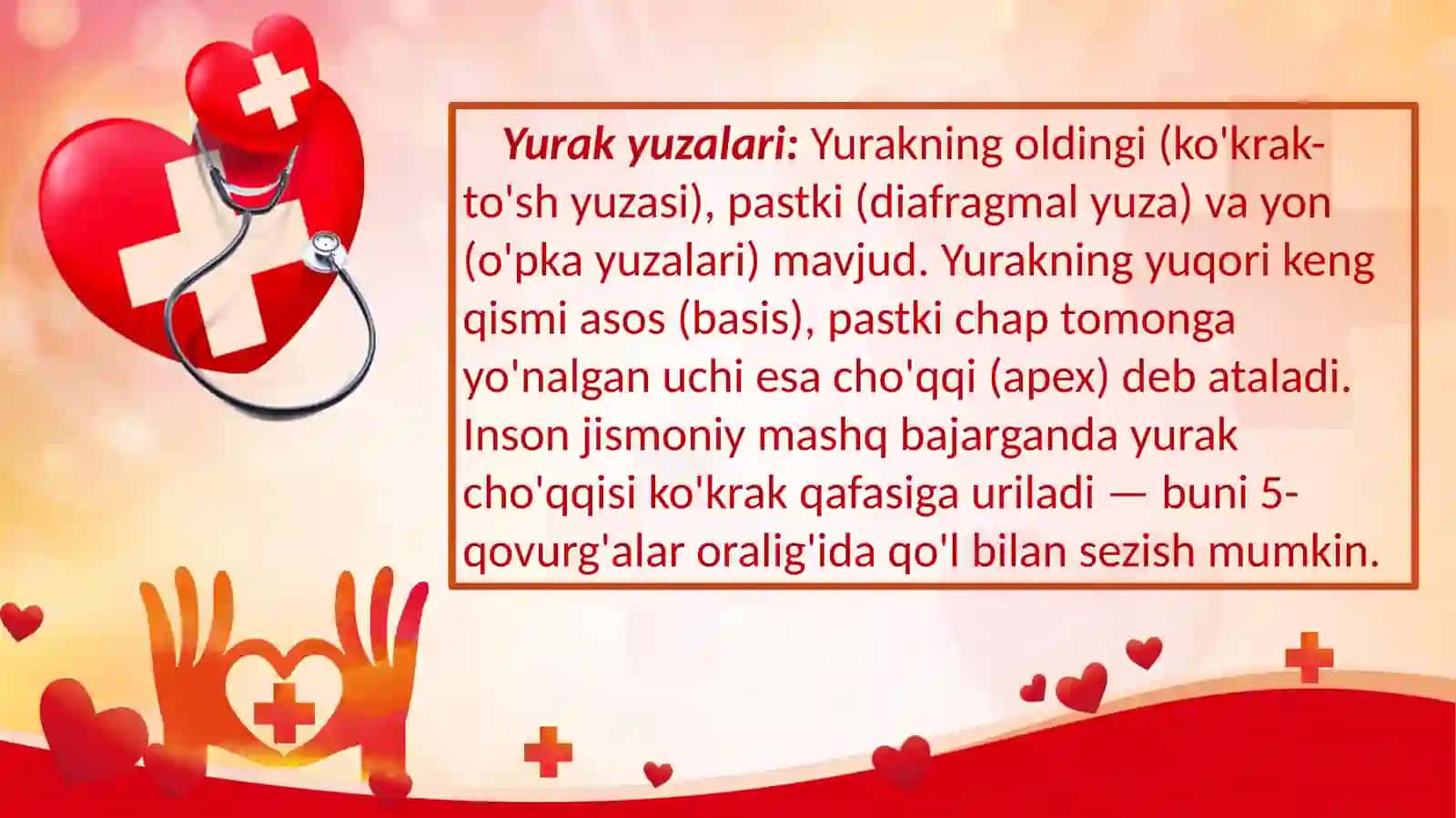 Yurakning tuzilishi va faoliyati 4