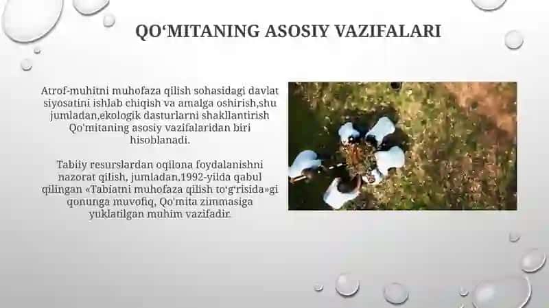 Tabiatni muhofaza qilish davlat qoʻmitasining roli 4