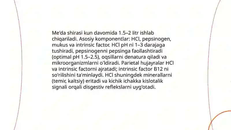 Me'da va ichakda hazim qilish 4