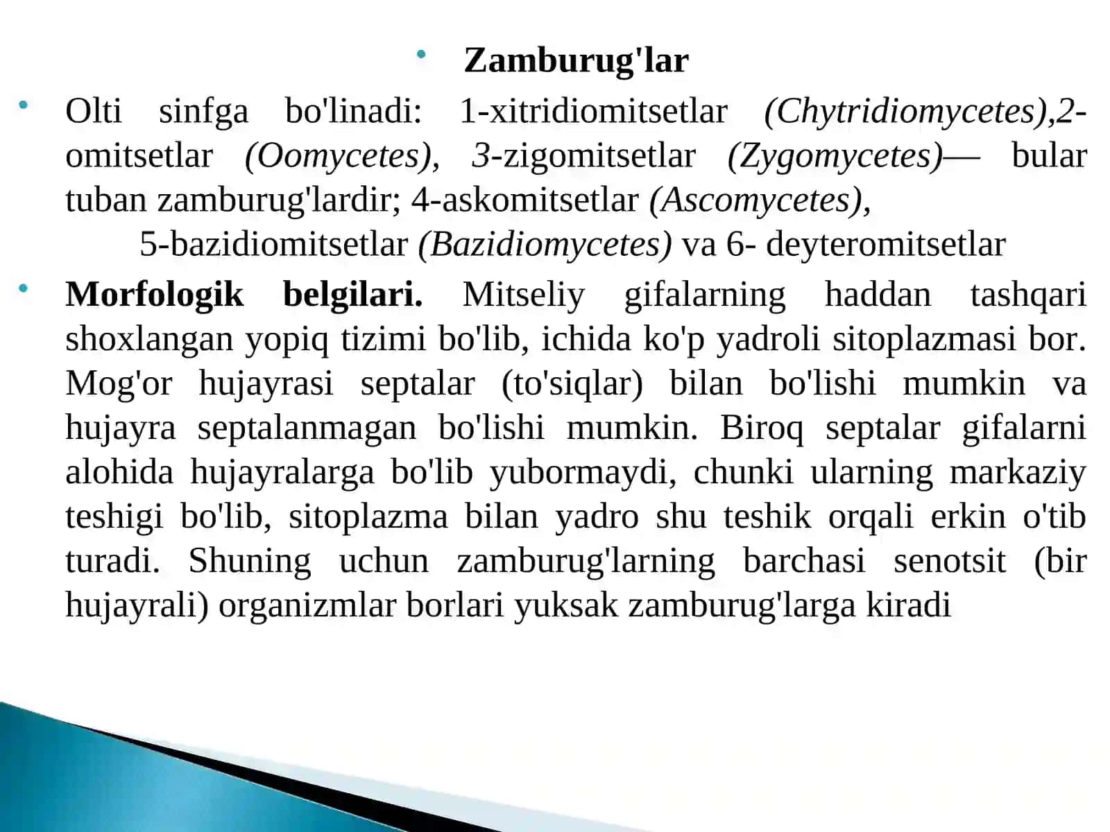 Mog’or zambrug’lari va achitqilar 4