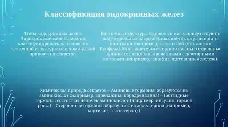 Физиология Желез Внутренней Секреции 4