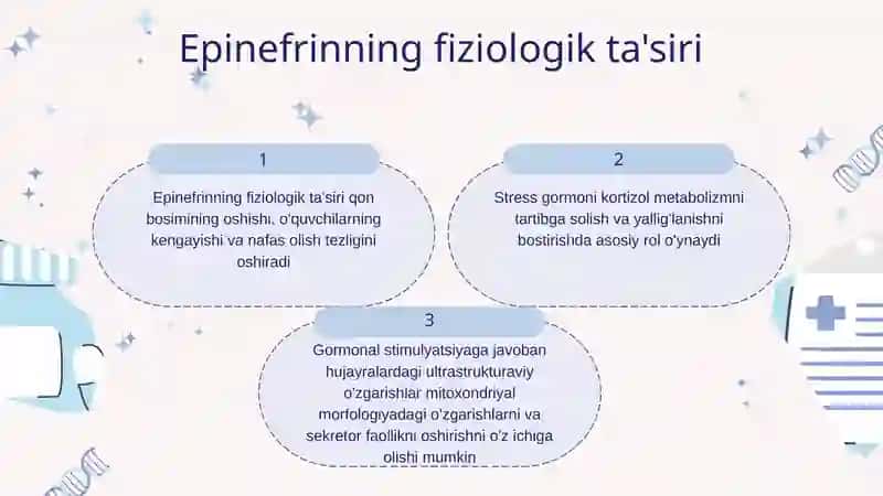 Buyrak usti bezlari 4