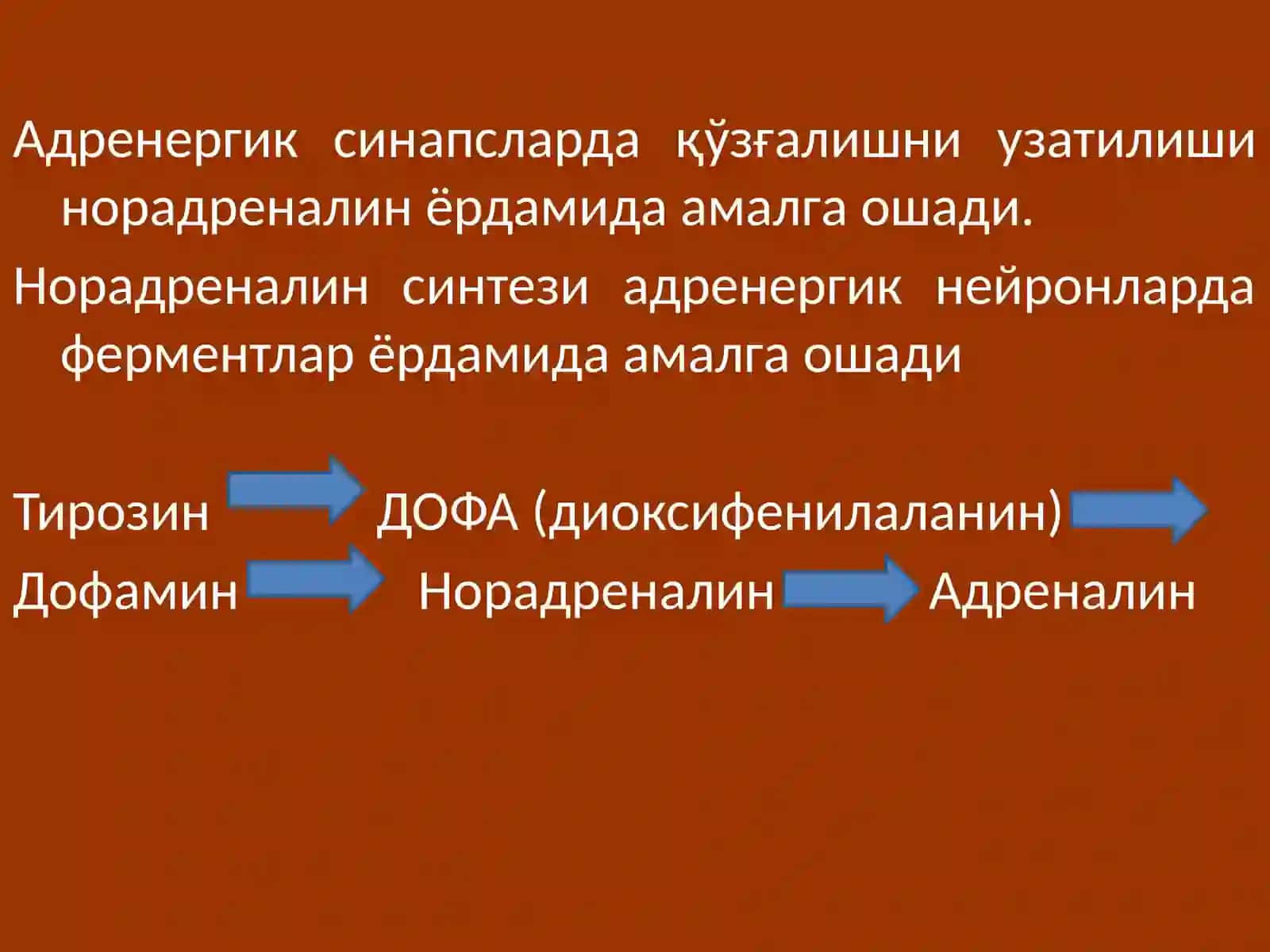 Адренергиктизимгатаъсирэтувчидоривоситалари 4