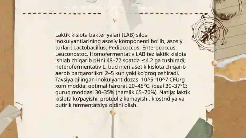 Zamonaviy siloslash va kompostlash biotexnalogiyasi 4