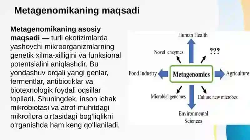 Metagenomika usullari, Metatranskriptomika va metaproteomika bilan bog‘liqligi 4