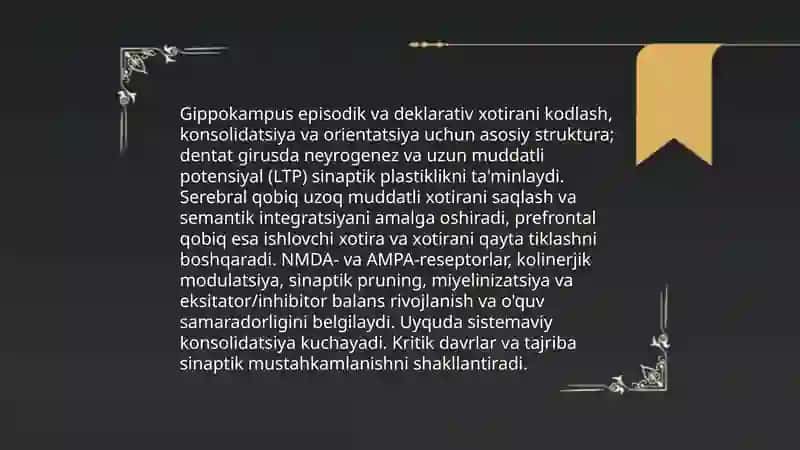Inson xotirasi rivojining asosiy omillari va shart-sharoitlari 4