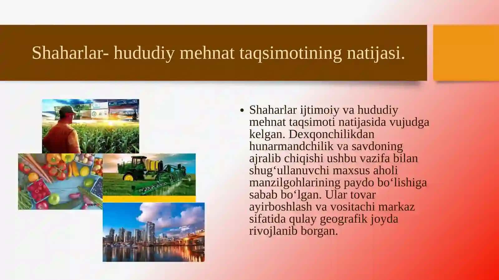 Shaharlar-hududiymehnattaqsimotining natijasi 4