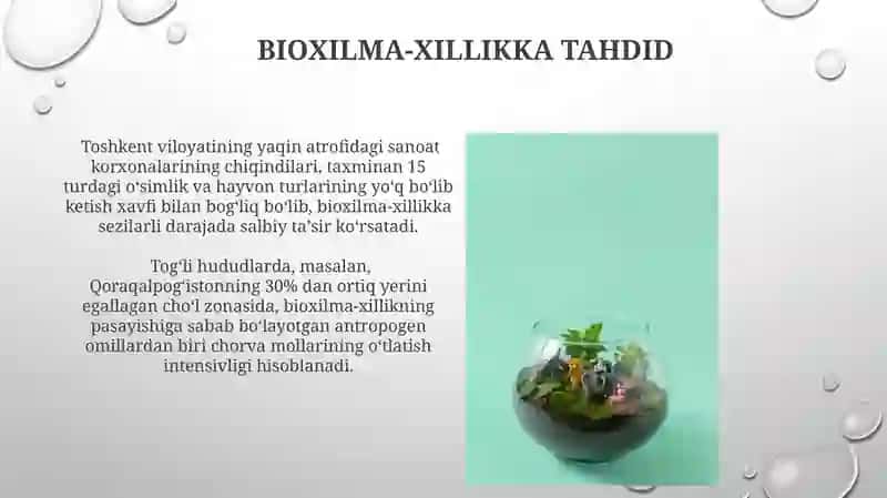 Tаbiаtdа аntropogen omilning roli 4