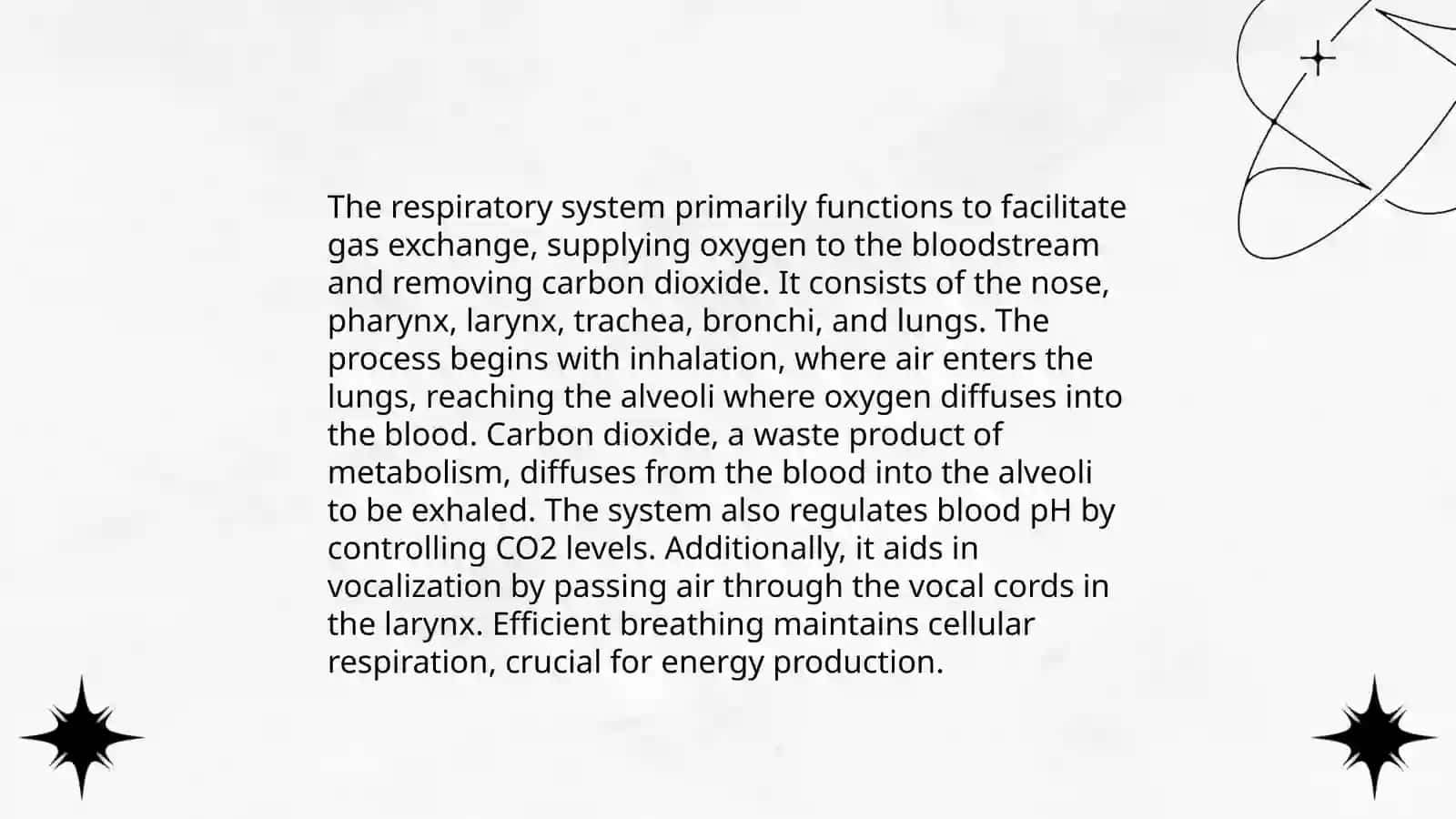 Respiratory system 4