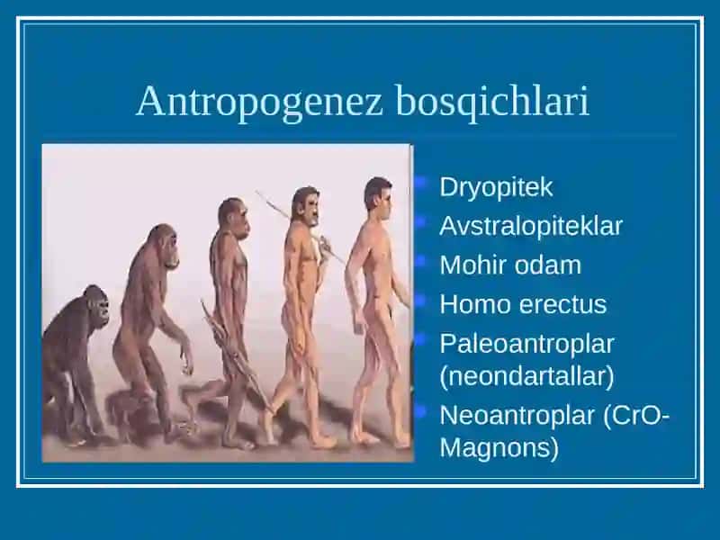 Antropogenez 4