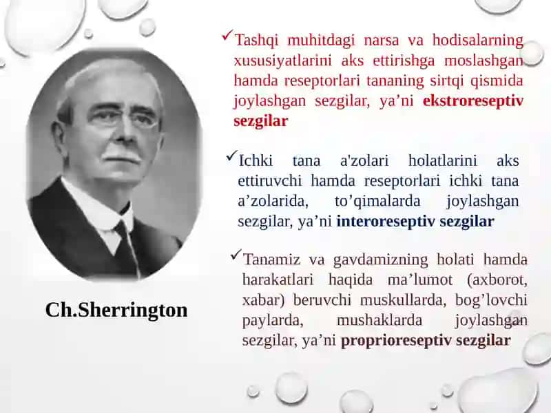 Sezgi 4