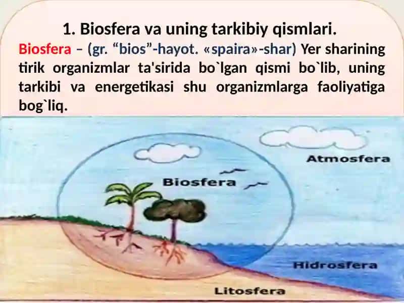 Biosfera 4