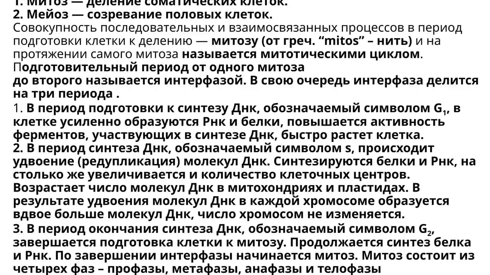 Клеточный цикл 4