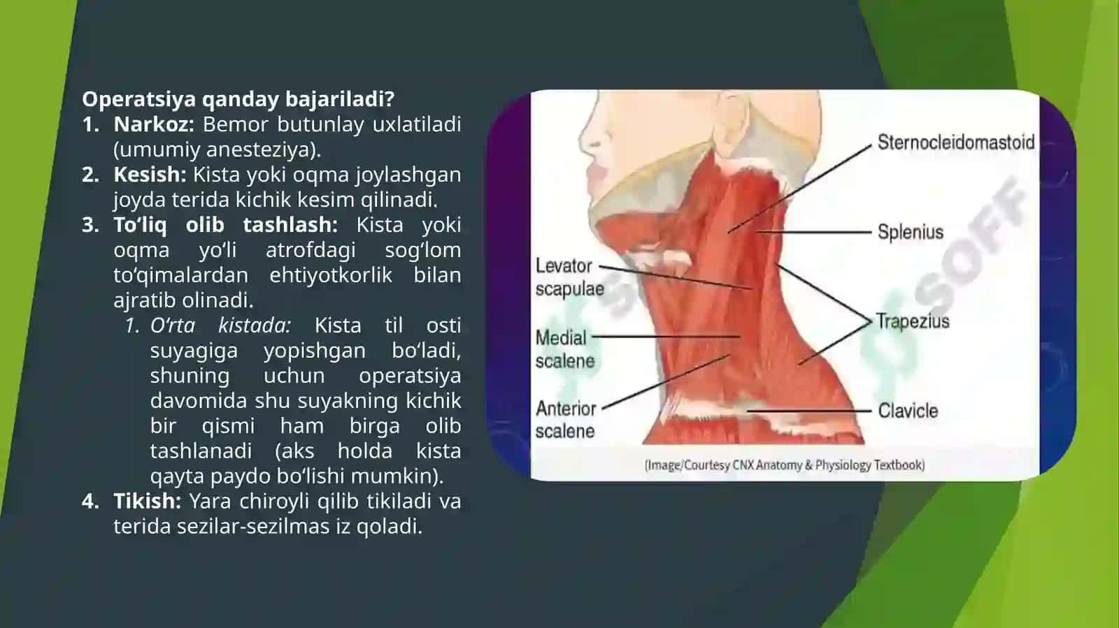 Bo`yinning o'rta, yon oqmalari va kistalarini kesib olish. Ekstrakranial arteriyalardagi zamonaviy operatsiyalar. Bo'yin qiyshiqligida bajariladigan operatsiyalar” 4