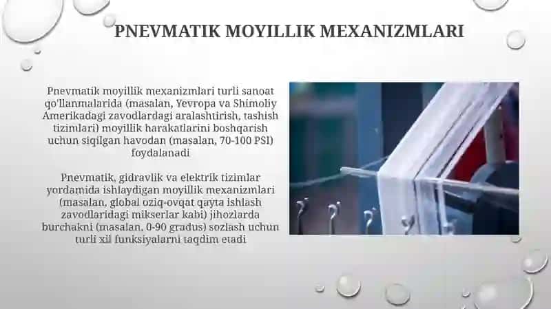 Tilning qurilishi va vazifalari 4