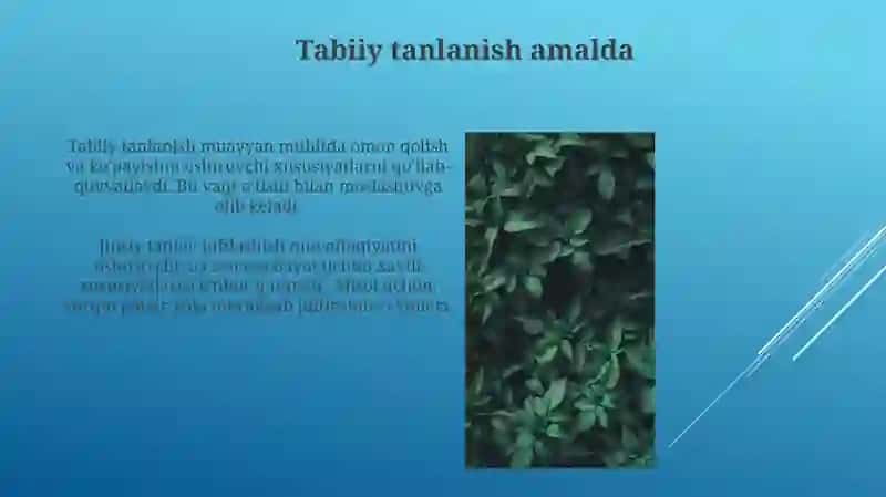 Tabiiy va jinsiy tanlanish nazariyalari 4