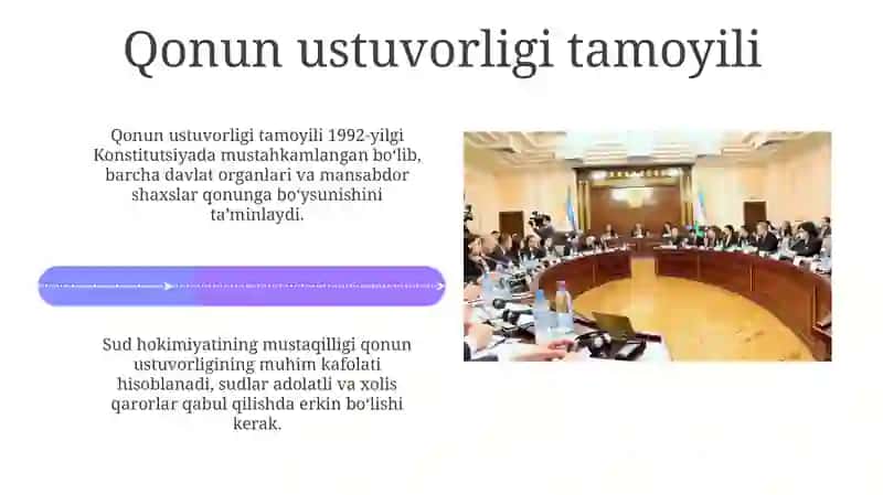 Yangi O'zbekistonda inson haq-huquqlari va erkinliklar kafolatining yaratilishi 4