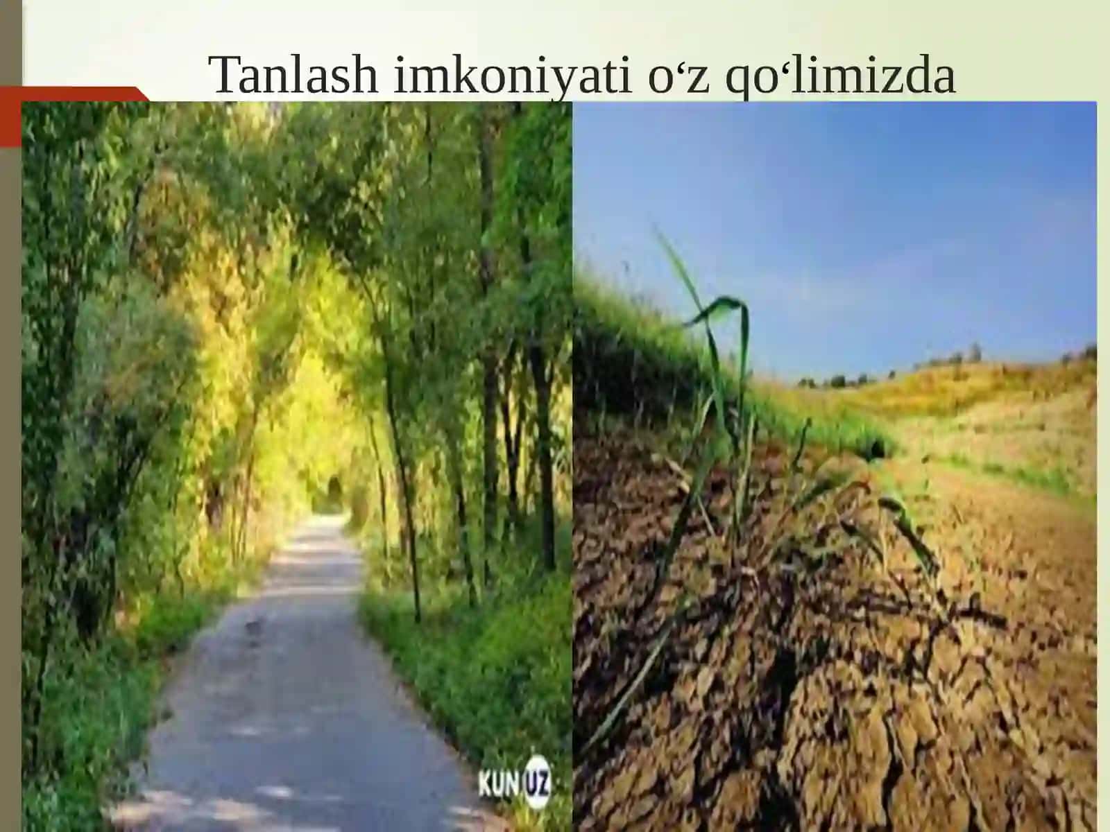 Botanika va o‘simliklar fiziologiyasi fani 4