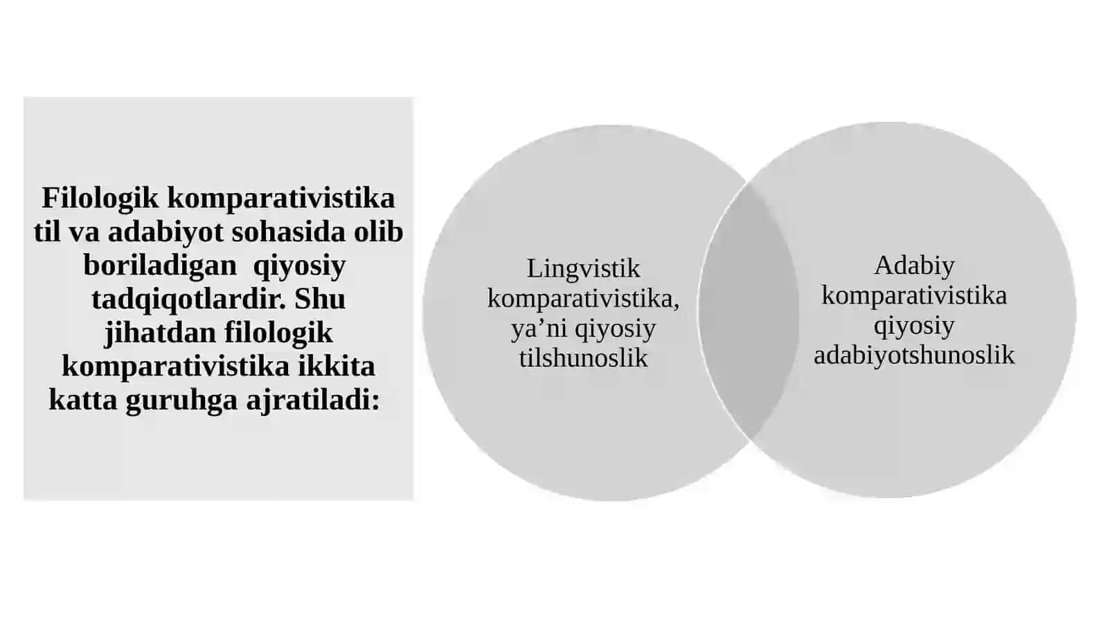 Umumiy tilshunoslik va qiyosiy-tarixiy tilshunoslikning vujudga kelishi. Komparativistika 4