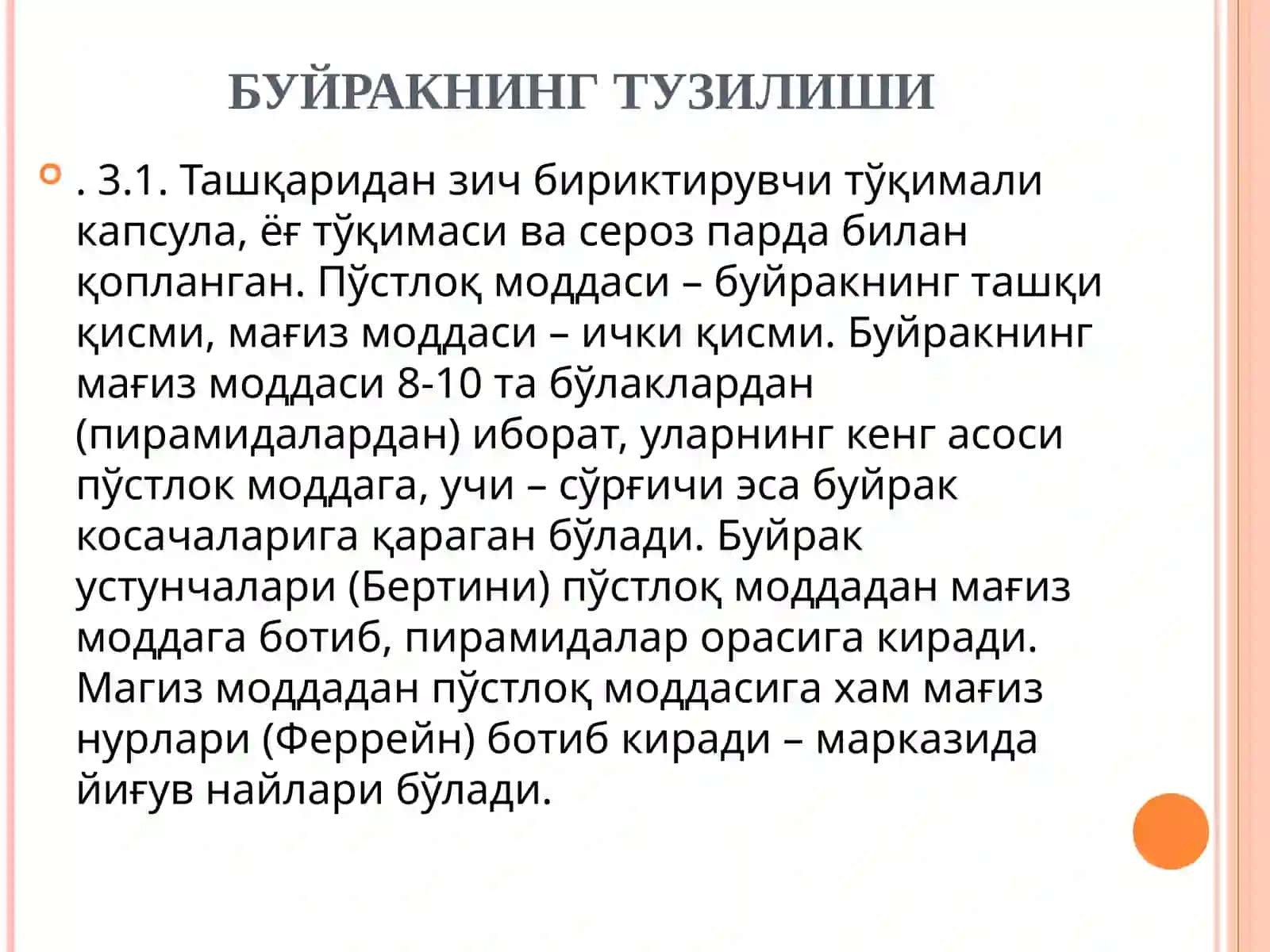 АЙРУВ СИСТЕМАСИ(БУЙРАК,СИЙДИК ЙЎЛИ,ҚОВУҚ,СИЙДИК НАЙИ) 4