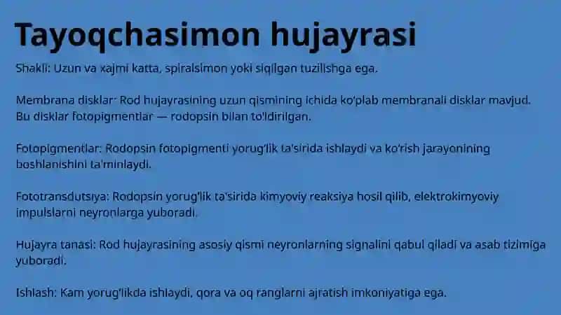 Fotoretseptor hujayralarning ultrastukturasi va gistofiziologiyasi 4
