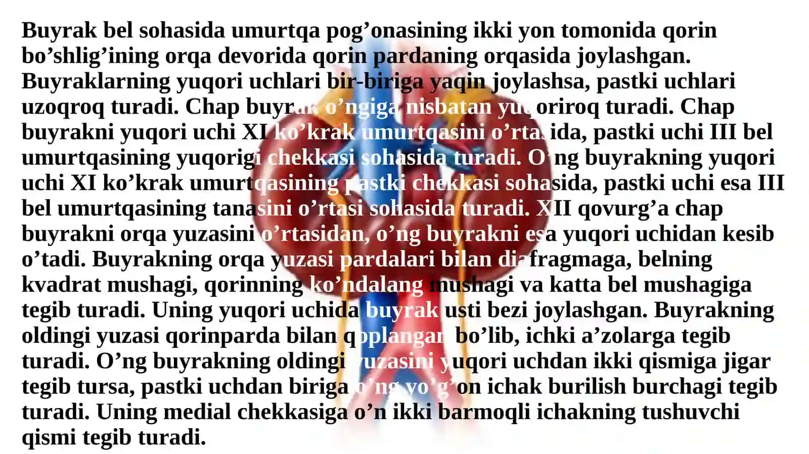 Buyraklar tuzilishi va ularning yoshga qarab o’zgarishi 4