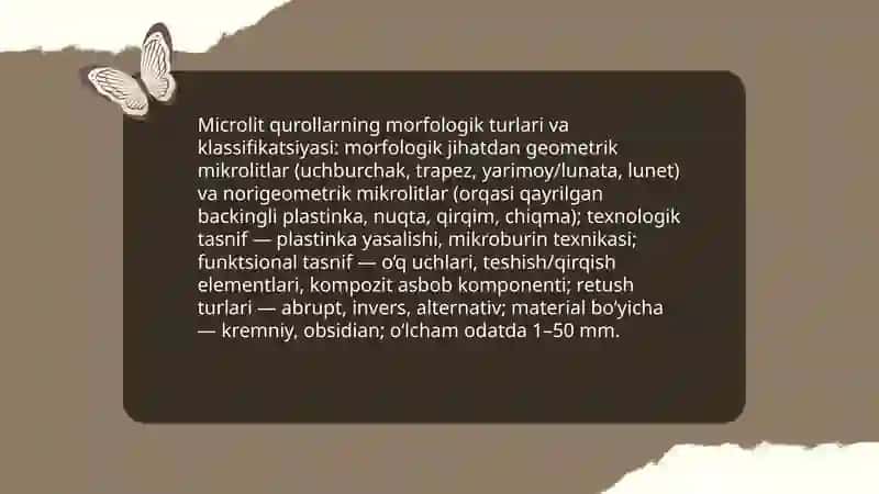 Mizolit.Mikrolit qurollar 4