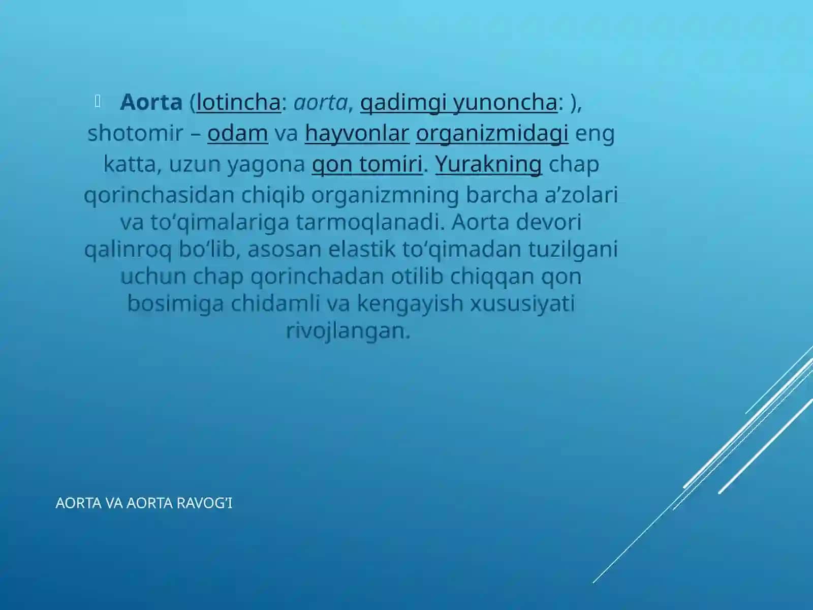 Aorta va aorta ravog’I 4