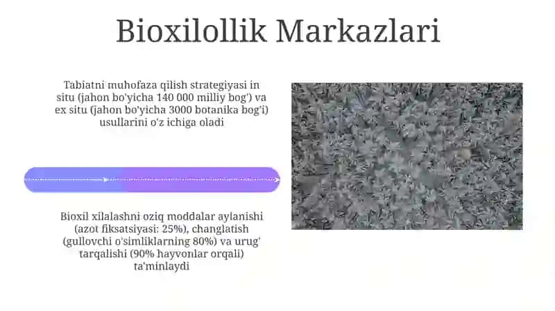 Ekologik muvozanatga tahdidlar 4