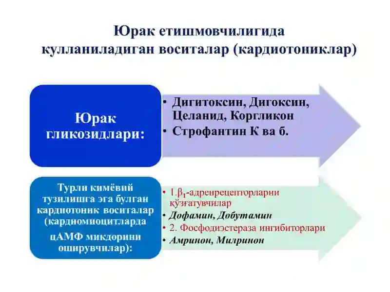 KARDIOTONIK, ANTIANGINAL VA GIPOLIPIDEMIK PREPARATLAR 4