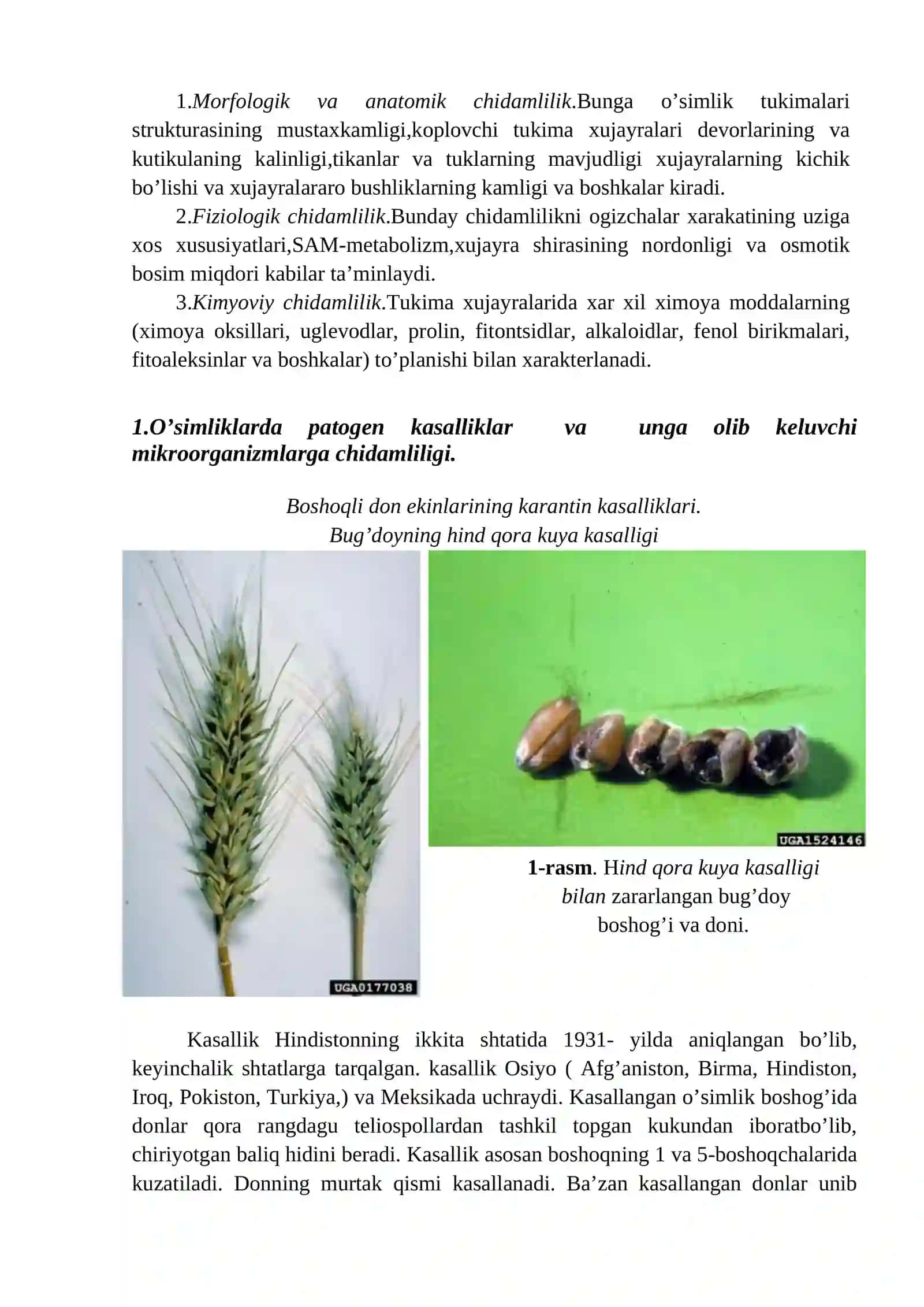 O’simliklar fiziologiyasi fanidan kurs ishi 4