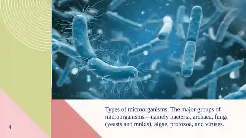 Microorganisms and Microbiology 4