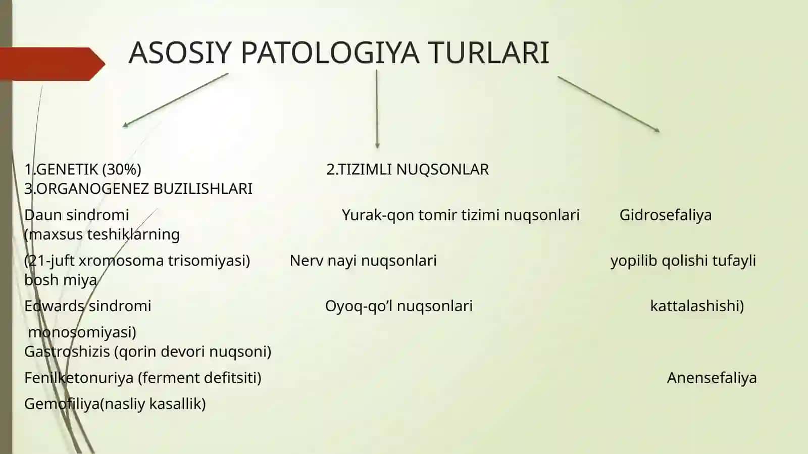 ONA QORNIDA RIVOJLANISHPATOLOGIYASINIMA 4