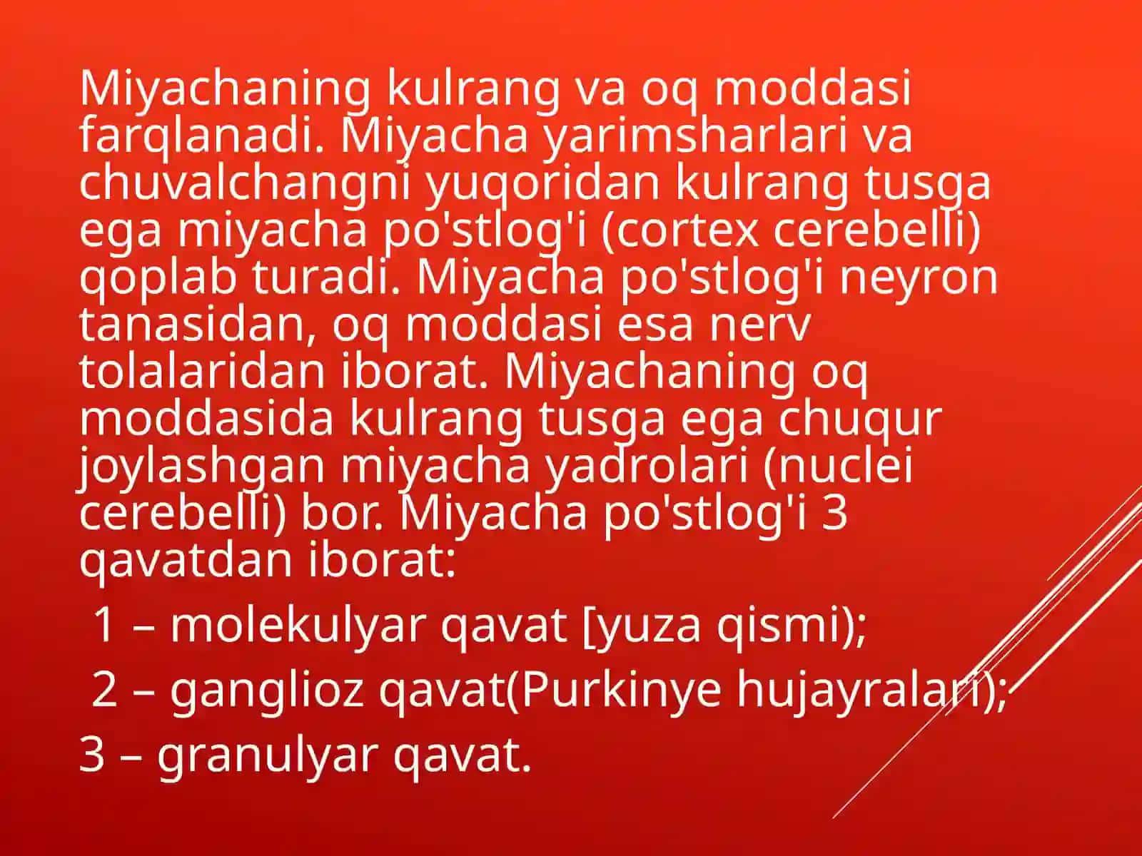 MIYACHA 4