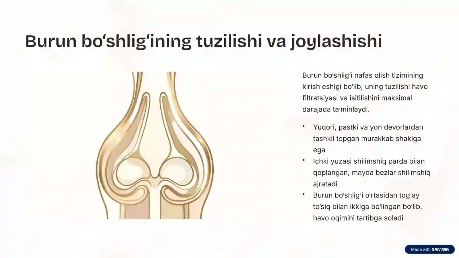 Nafas Yo‘llariga Kiruvchi A’zolarning Tuzilishi va Joylashishi 4