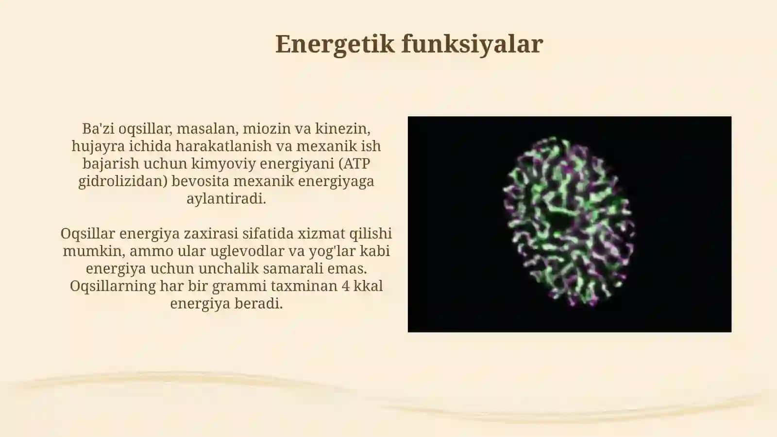 Oqsillarning funksiyalari:tuzilmaviy,energetik,transport,qaytaruvchi va boshqaruv funksiyalari 4