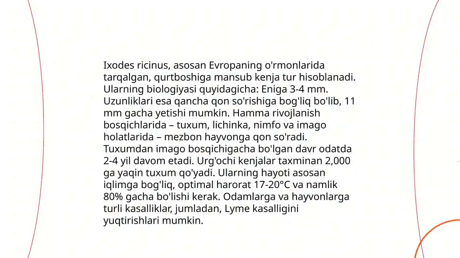 It kanasi -Ixodes ricinus 4