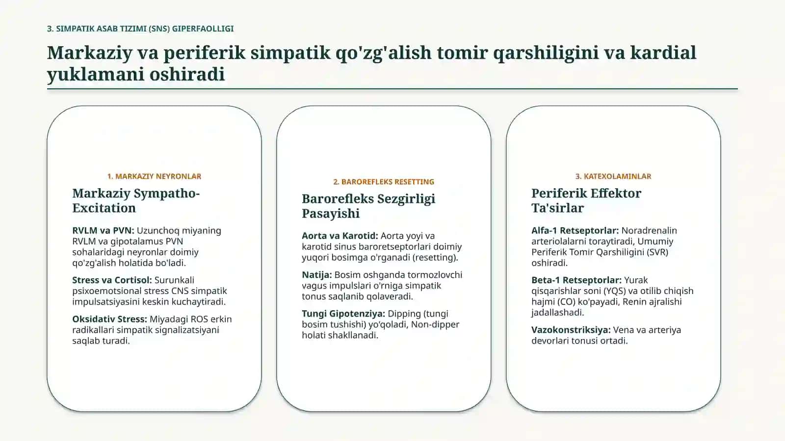 Essensial gipertoniya patogenezi: zamonaviy aspektlar — 15 slayd 4