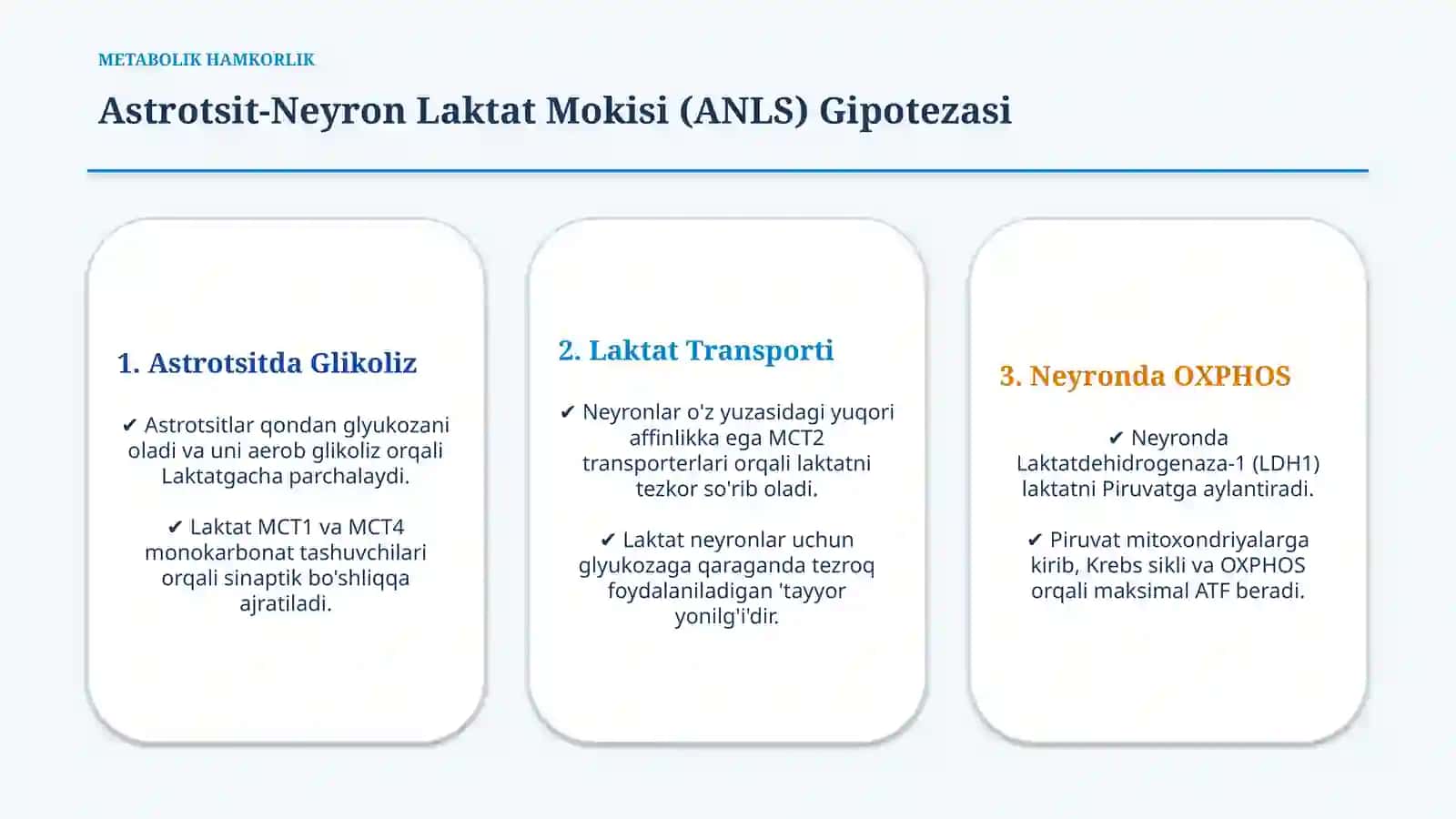 Nerv hujayralarida metabolizm jarayonlari — 15 slayd 4