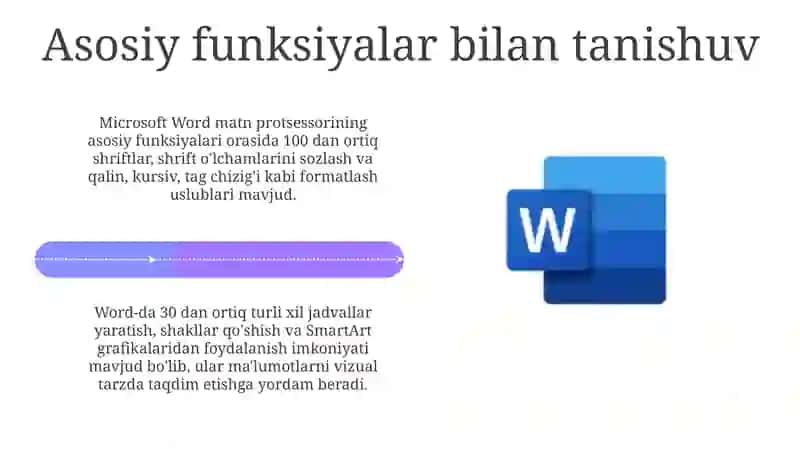 Microsoft Word 4